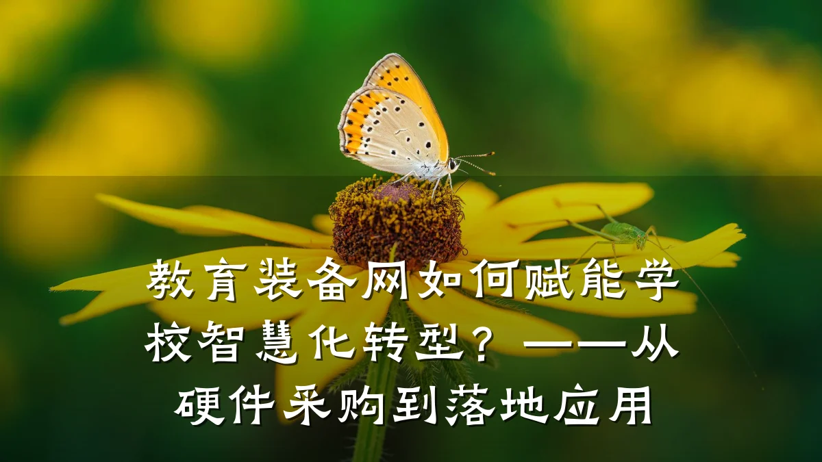 教育装备网如何赋能学校智慧化转型？——从硬件采购到落地应用