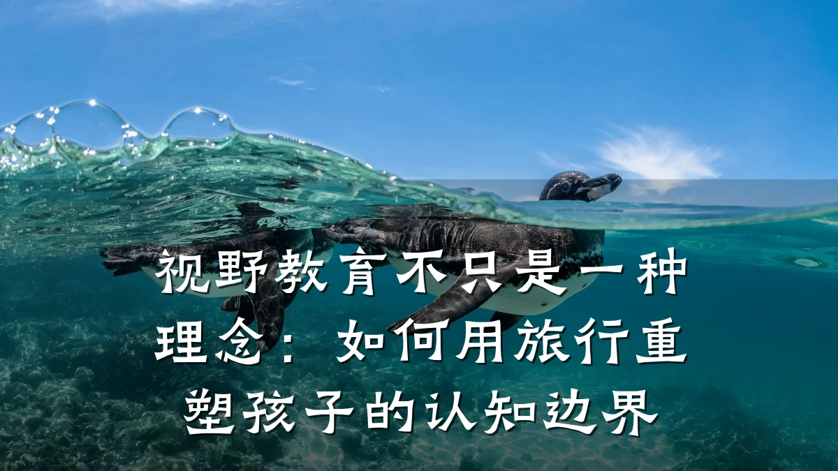 视野教育不只是一种理念:如何用旅行重塑孩子的认知边界