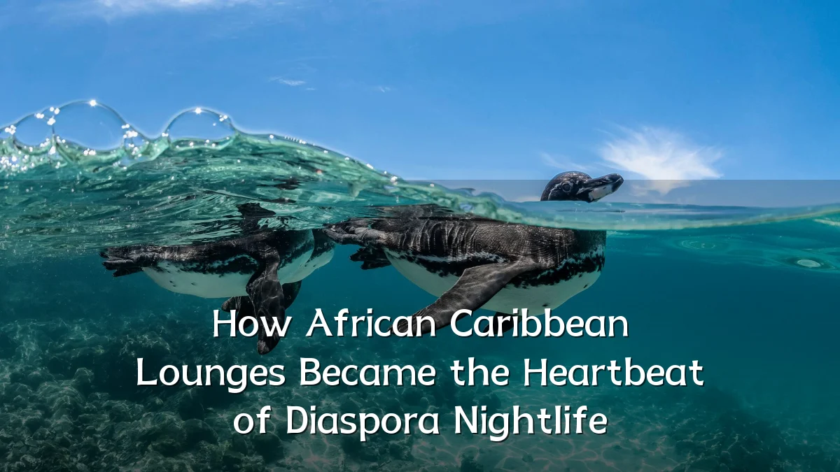 How African Caribbean Lounges Became the Heartbeat of Diaspora Nightlife