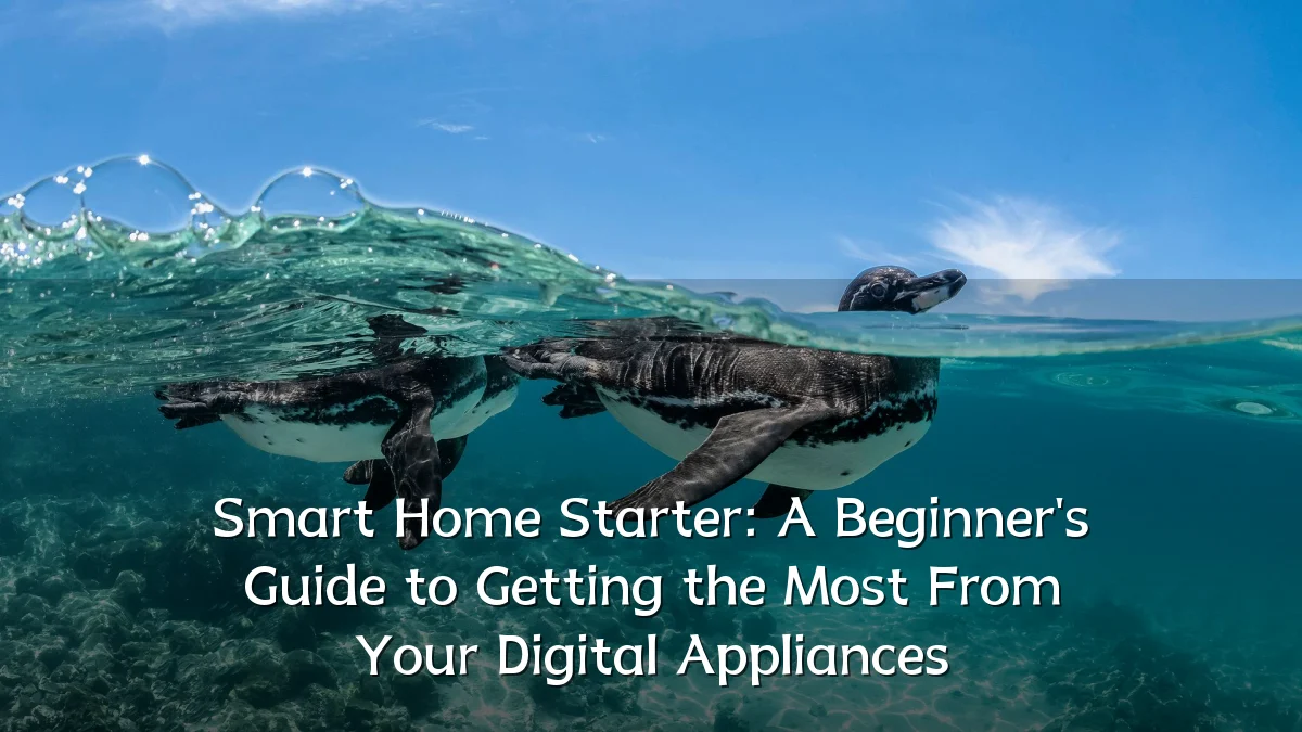 Smart Home Starter: A Beginner's Guide to Getting the Most From Your Digital Appliances