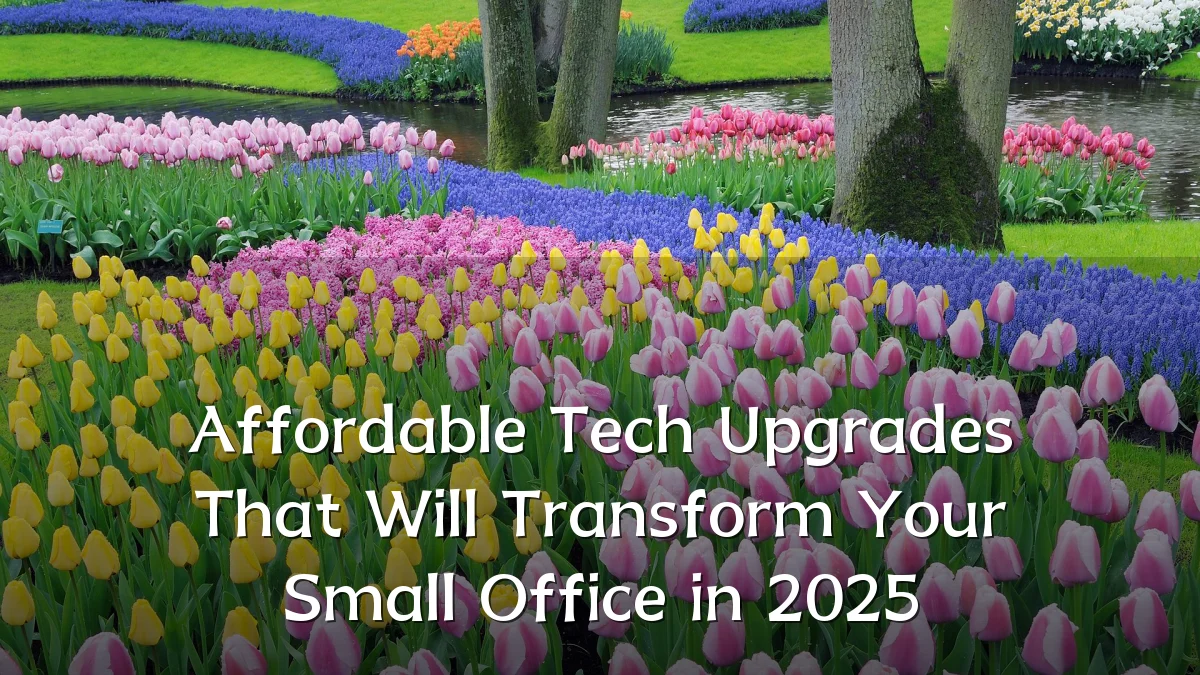 Affordable Tech Upgrades That Will Transform Your Small Office in 2025